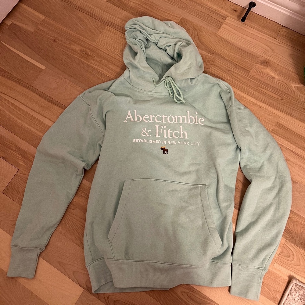 Abercrombie & Fitch hooded sweatshirt NWOT